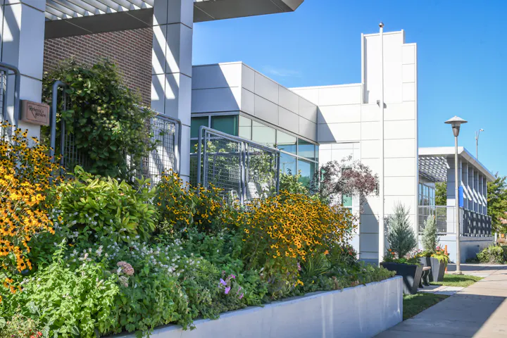 A well-maintained garden with vibrant flowers and greenery adorns a modern building, clear blue sky above.