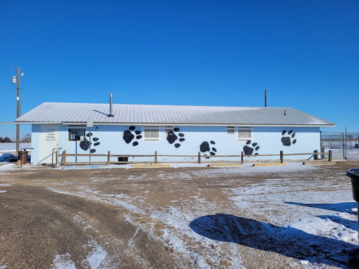 A building labeled "Lamar Animal Shelter" with large paw prints painted on the wall. Snow-covered ground and clear blue sky.