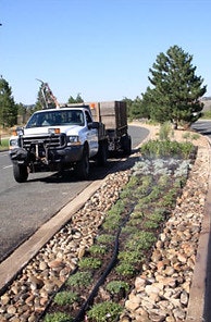 A truck parked on a road next to a landscaped median with young plants and a drip irrigation system.