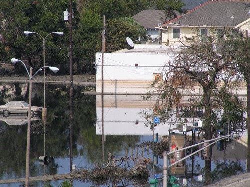 A flooded urban area with submerged cars, utility poles, and trees in standing water near residential buildings.