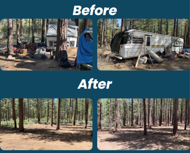 Before: Tents and trailers in the woods. After: Cleared, open forest area.