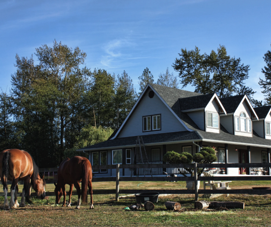 A country house with a gabled roof, a fence, and two horses grazing in the yard.