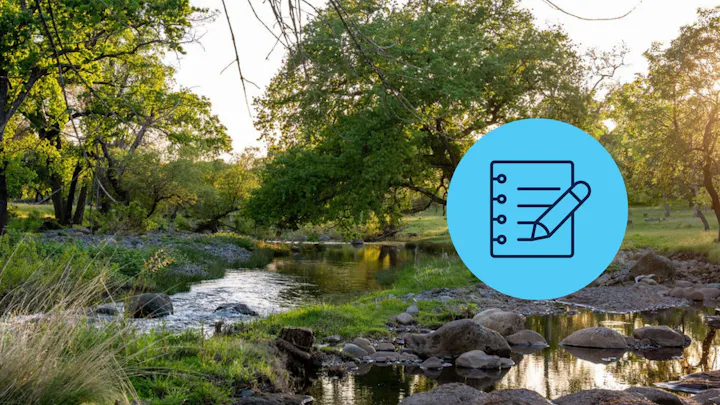 A serene landscape featuring a flowing stream, lush trees, and a notebook icon, suggesting a connection to nature and writing.