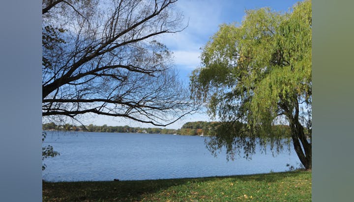 Lake view with trees and clear sky.