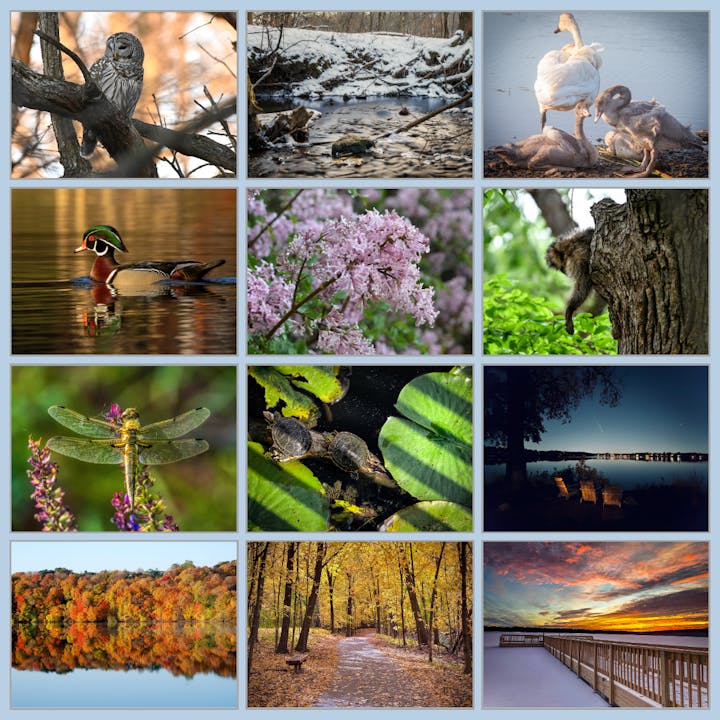A collage of nature scenes featuring wildlife, flowers, lakes, autumn colors, and a sunset.