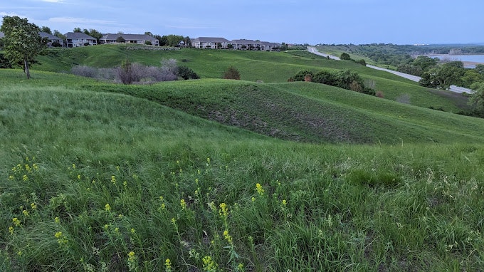 Rolling green hills with sparse yellow flowers, houses in the background, under a cloudy sky.