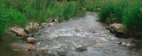 A small stream with rocks and surrounded by green grass.
