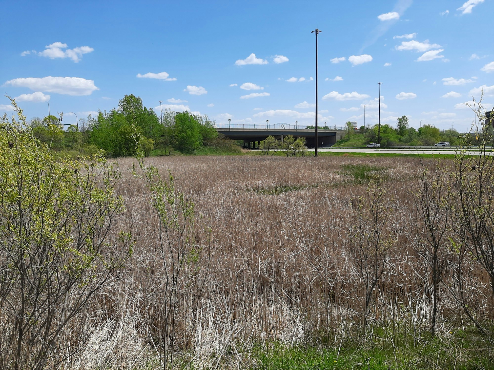 Dry grassland with shrubs, a bridge in the background under a blue sky with scattered clouds.