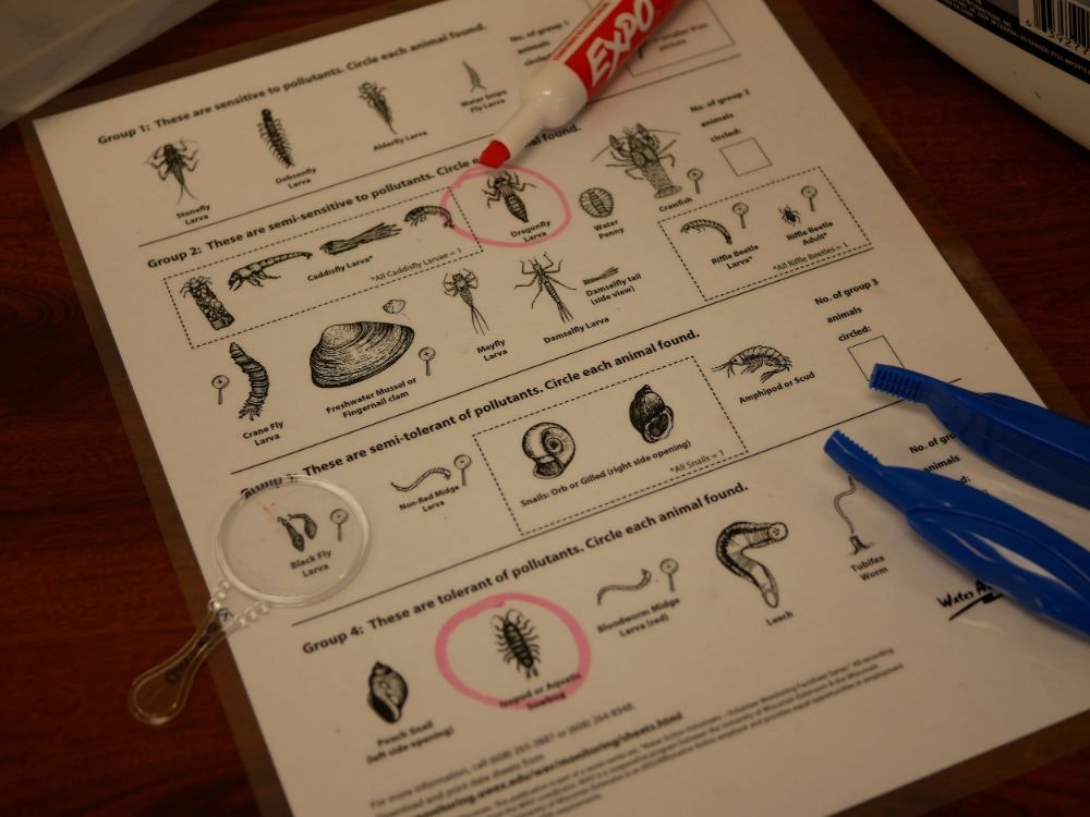 A worksheet detailing aquatic invertebrates with pollution tolerance, a magnifying glass, markers, and an eraser on a table.