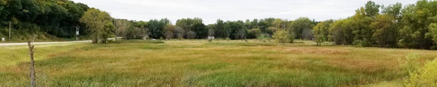A panoramic view of a grassy field with trees and a road in the background.