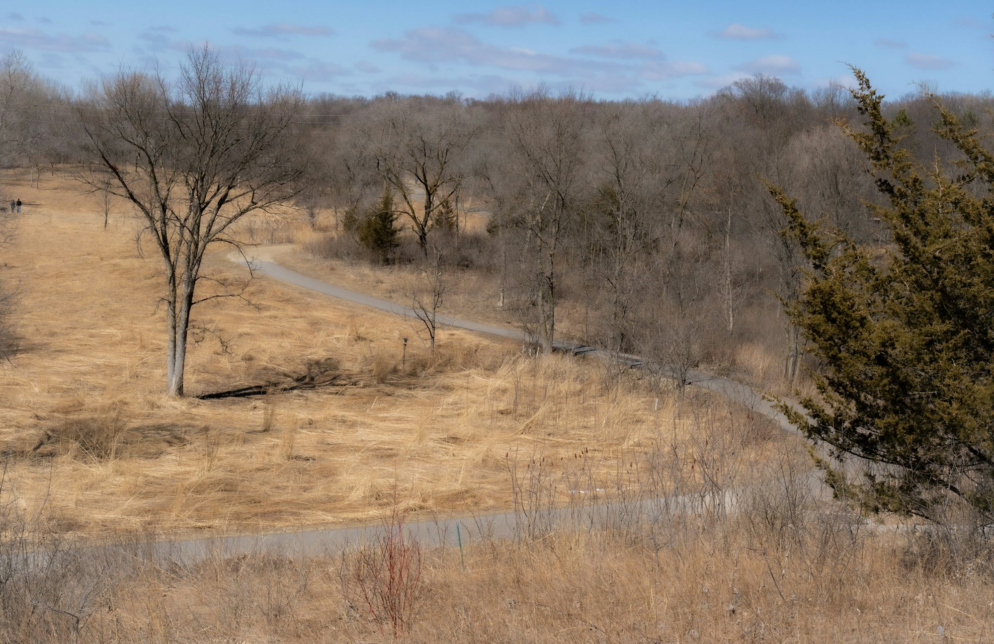 A winding path through a barren landscape with leafless trees and dry grass under a cloudy sky.