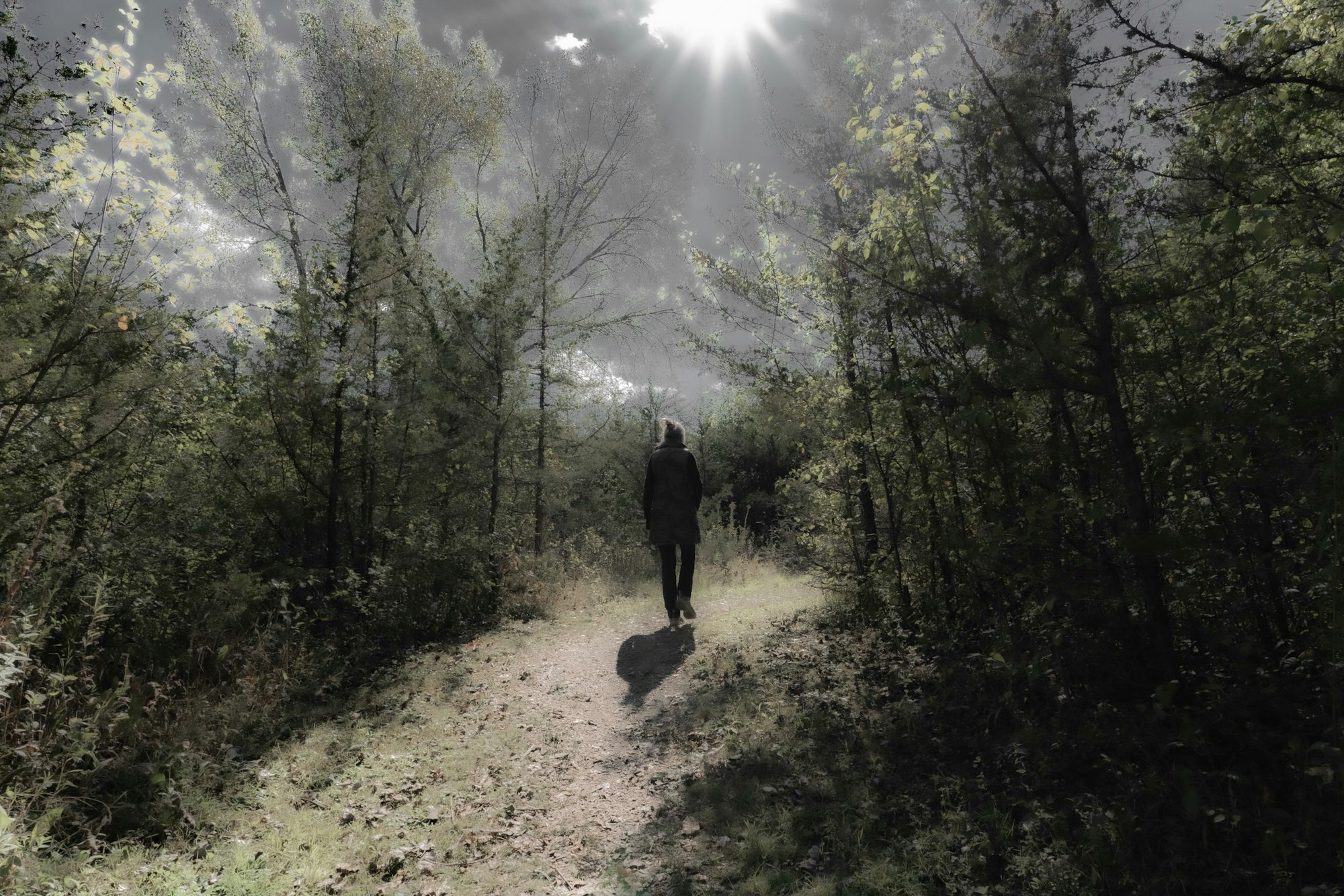 A person walking down a sunlight-dappled forest path.
