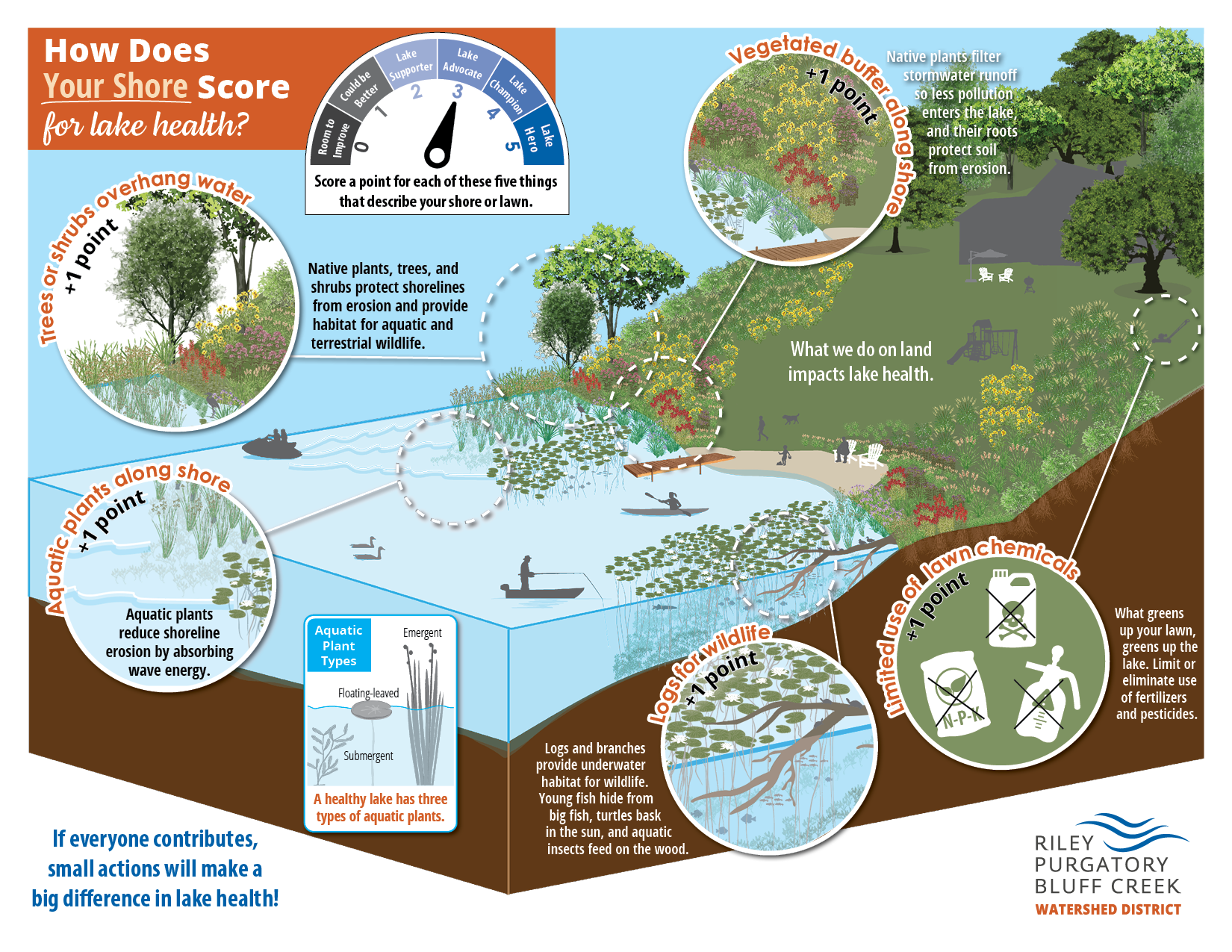 Illustrated educational poster on assessing shoreline health for lakes, with scoring system and environmental impact information.