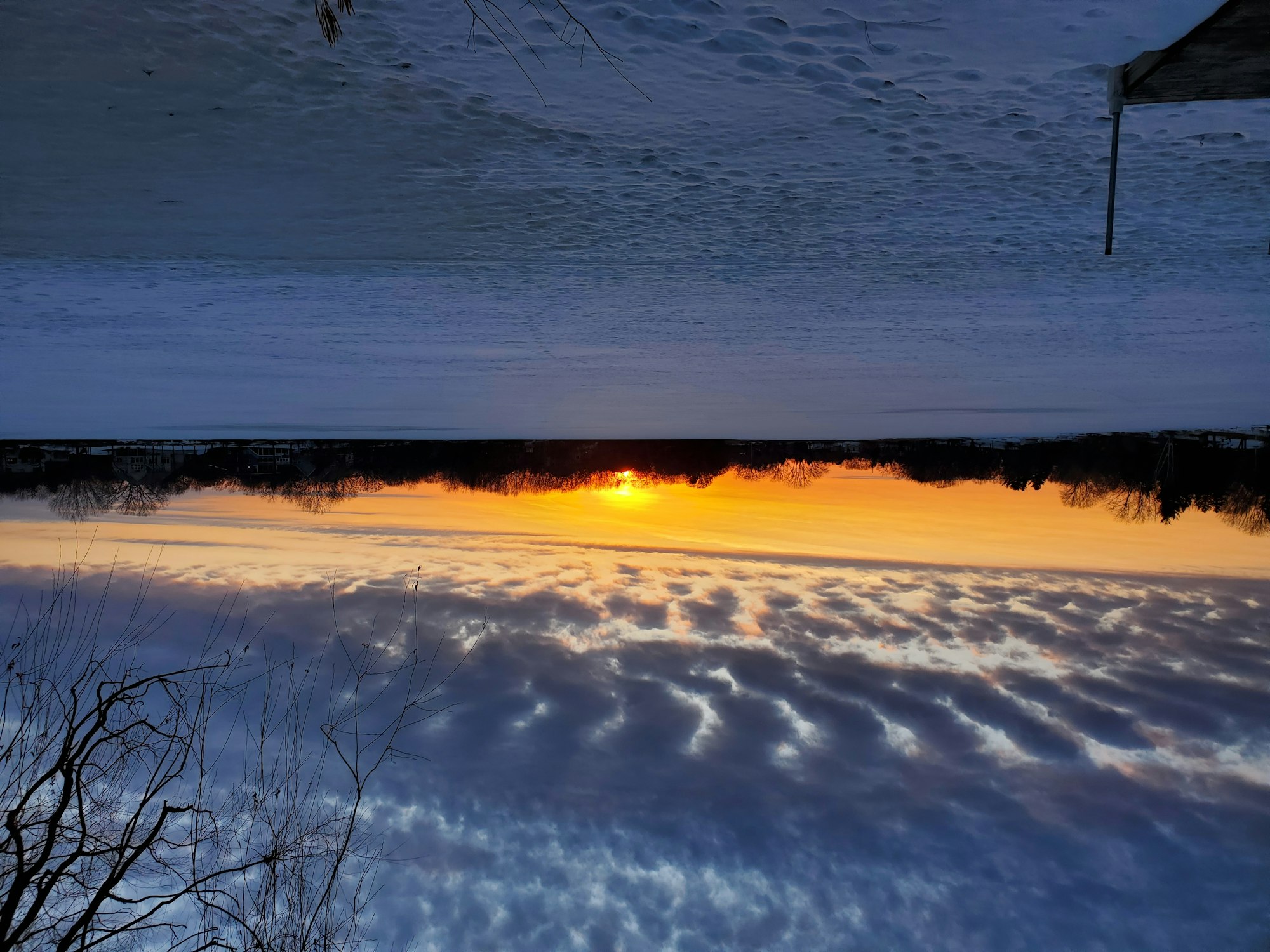 Upside-down sunset with clouds, silhouetted trees, and snow-covered ground.