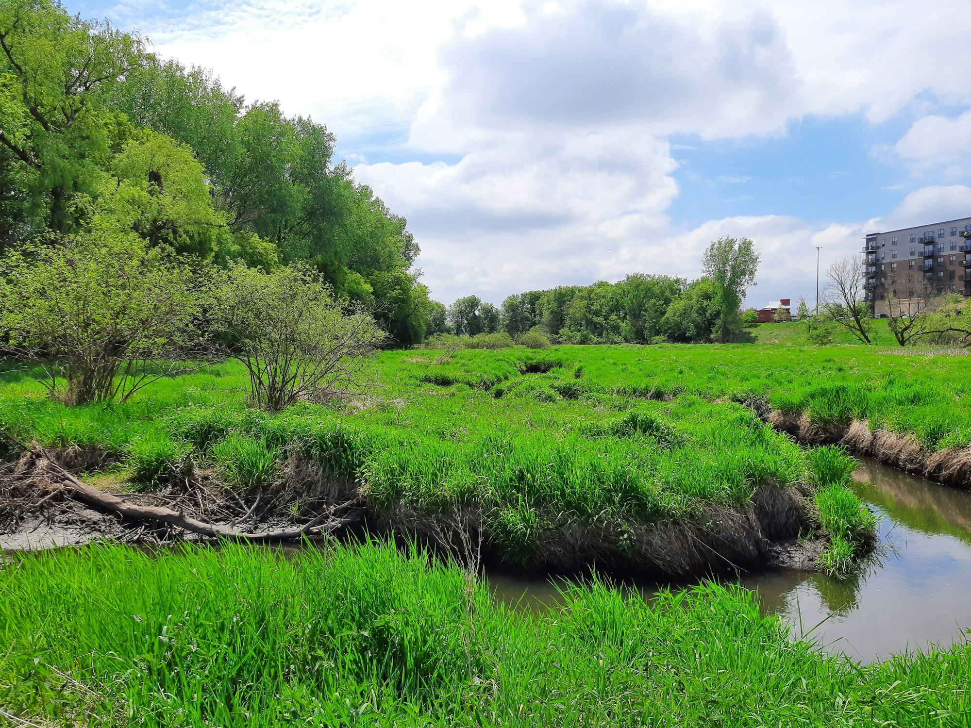 A serene creek with greenery and buildings in the background.