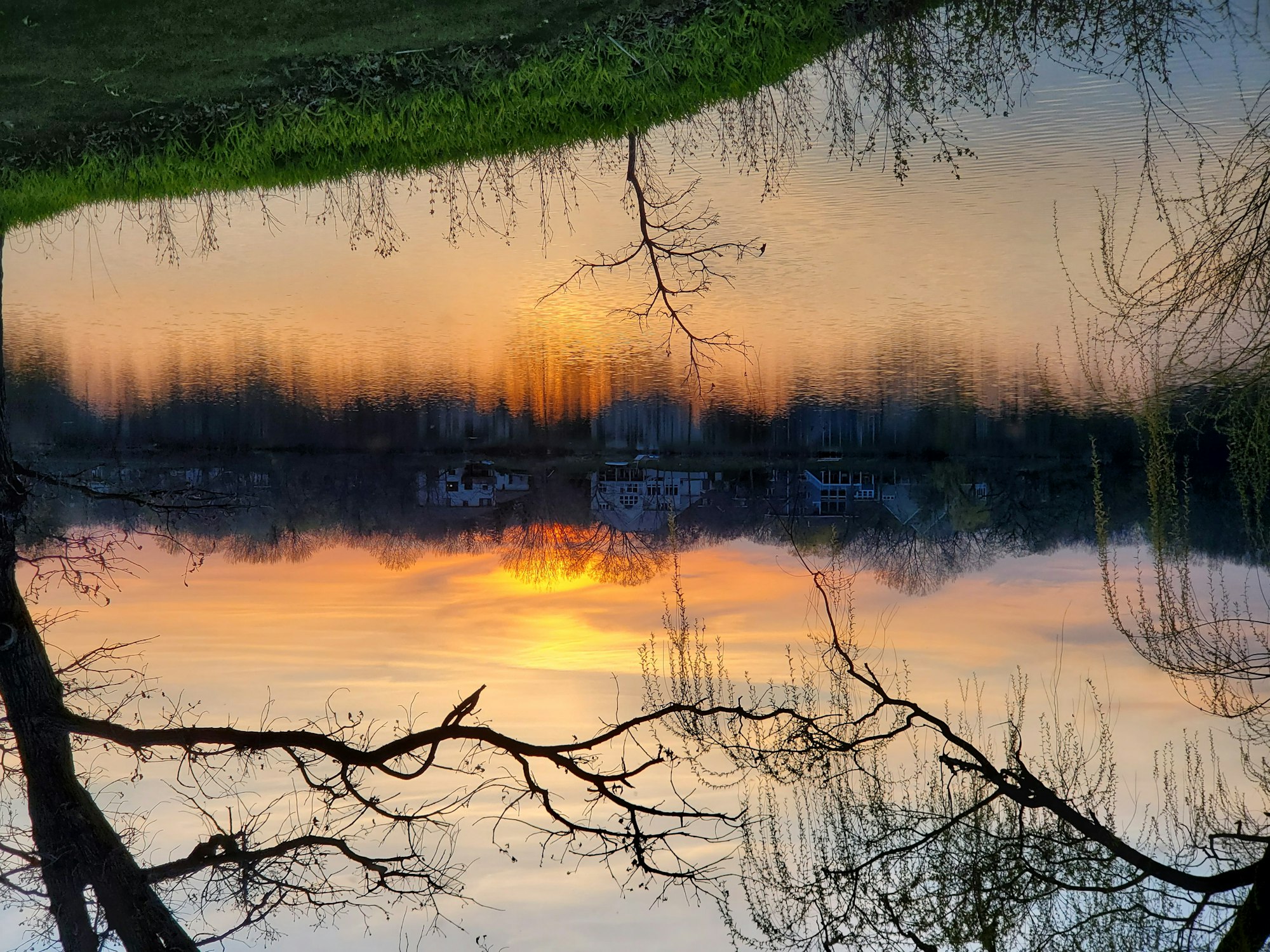 Upside-down image of a sunset over a calm lake with trees and houses reflected in the water.