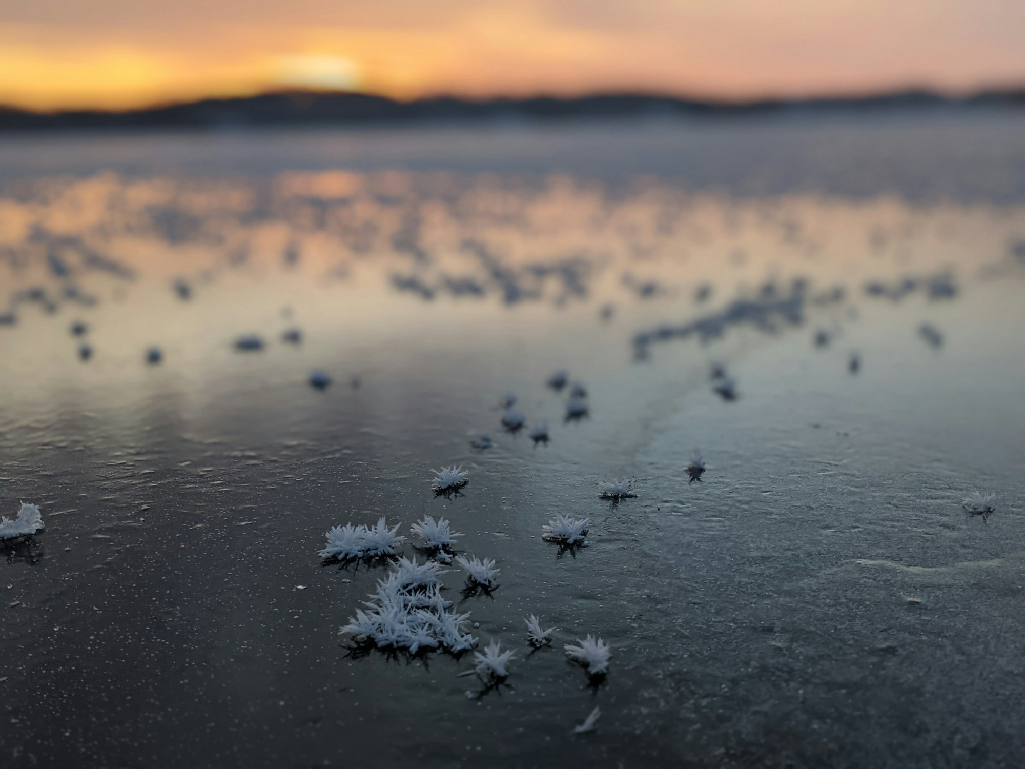 May contain: nature, outdoors, weather, ice, frost, and snow