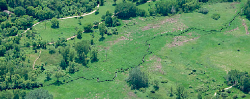 Aerial view of a green landscape with trees, a winding path, and scattered purple wildflowers.
