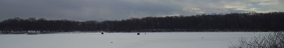 A snowy landscape featuring a frozen lake, barren trees, and overcast skies.