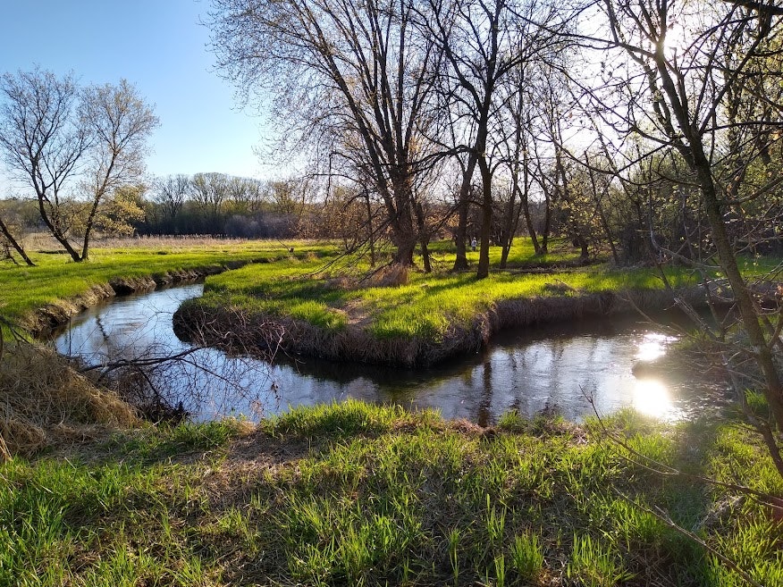 Sunny, serene landscape with a meandering stream, trees, and grass.