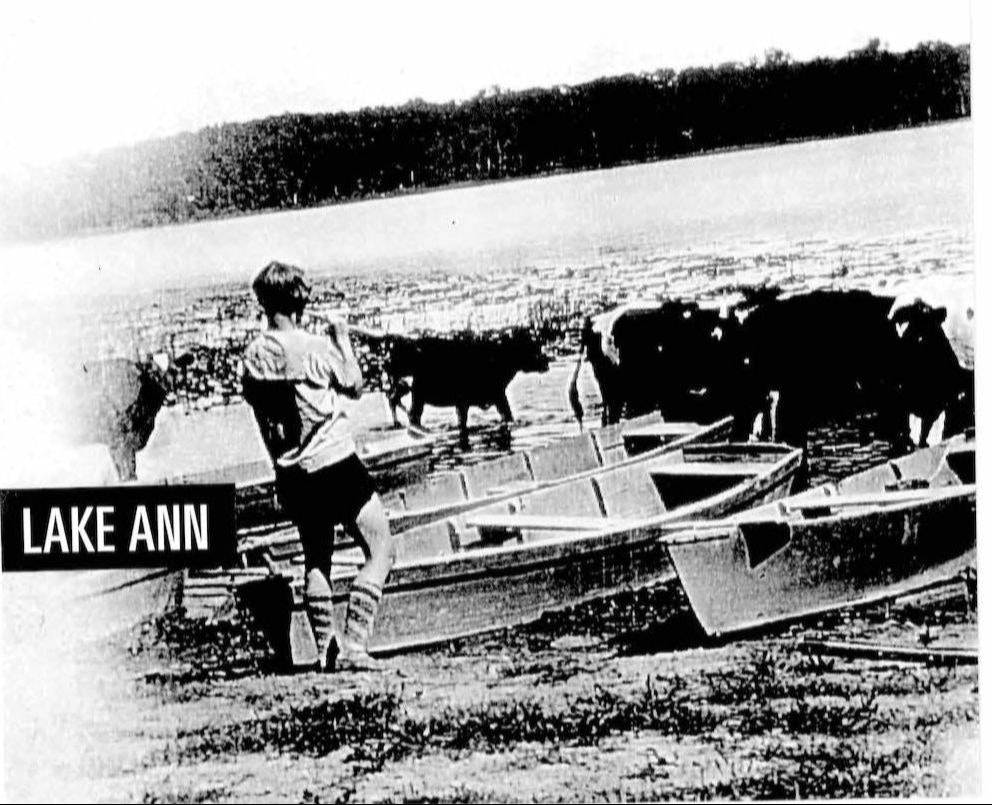 Black-and-white photo of a person by canoes on a shore labeled "LAKE ANN" with cows nearby.