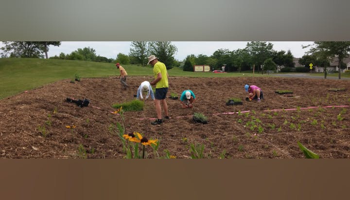 People planting in a community garden with mulch and plant trays.