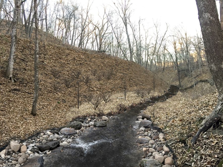 A stream flanked by leaf-covered banks and bare trees.