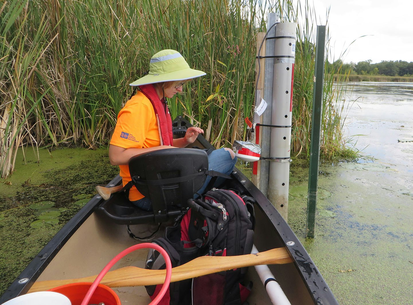Person in canoe with equipment next to water gauge in a marsh.