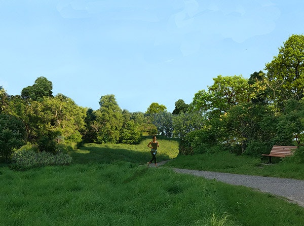 A person jogging in a green park with trees and a bench under clear skies.