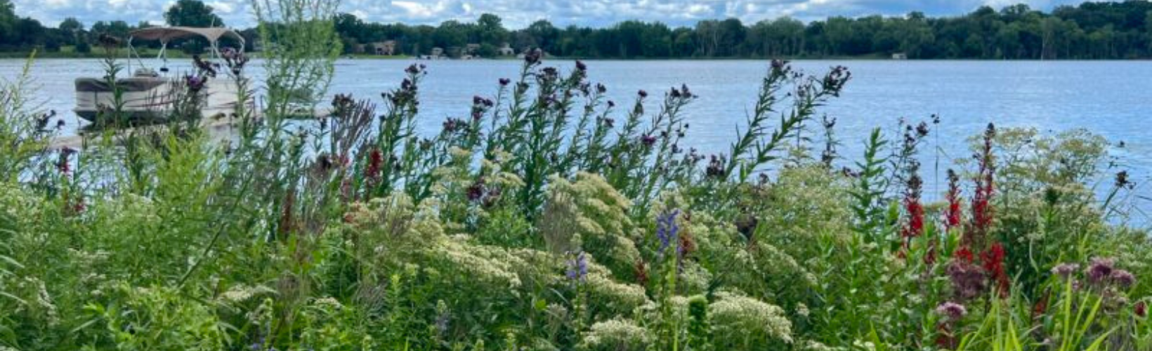 Wildflowers and tall grasses by a lakeside with a boat at the dock.