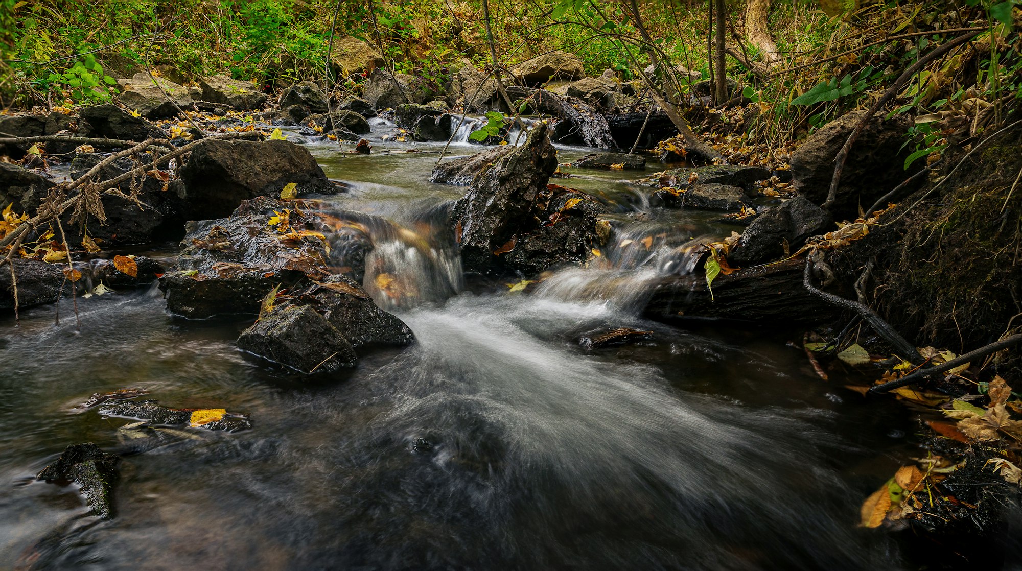 A small stream with flowing water over rocks, surrounded by greenery and fallen leaves.
