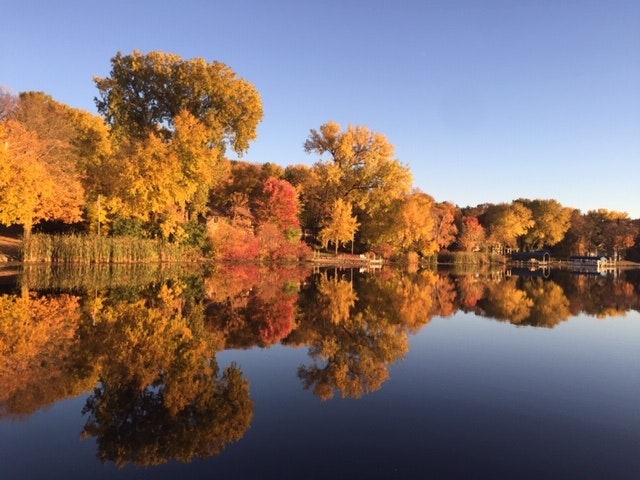 Autumn trees with vibrant foliage reflecting in a calm lake under a clear sky.