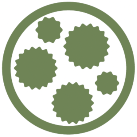 Green circular badge with five stars forming a circle inside.