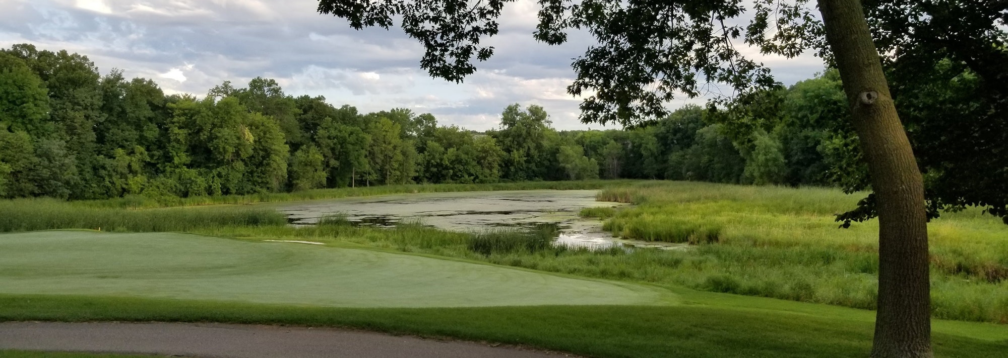 A scenic golf course with a green, pond, and surrounding woodland.