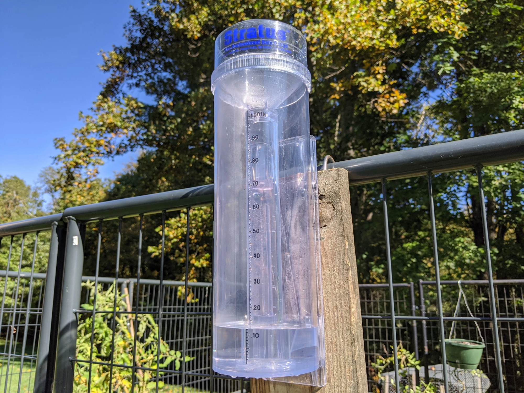 A rain gauge mounted on a fence in a sunny garden setting.