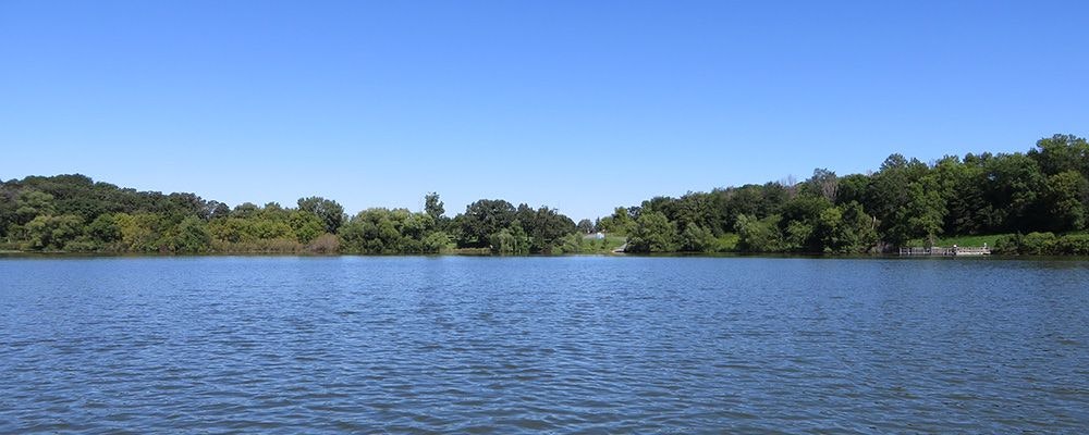 A wide, calm lake with a tree-lined shore under a clear blue sky.
