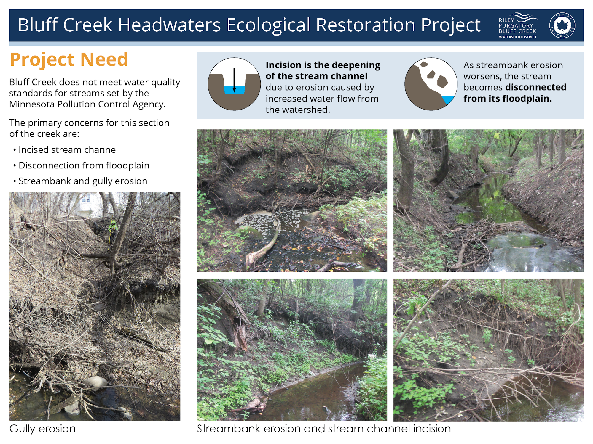 An infographic about Bluff Creek needing ecological restoration due to water quality and erosion issues.