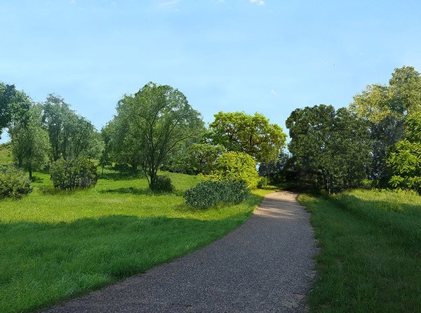 A gravel path through a sunny park with green grass and leafy trees.