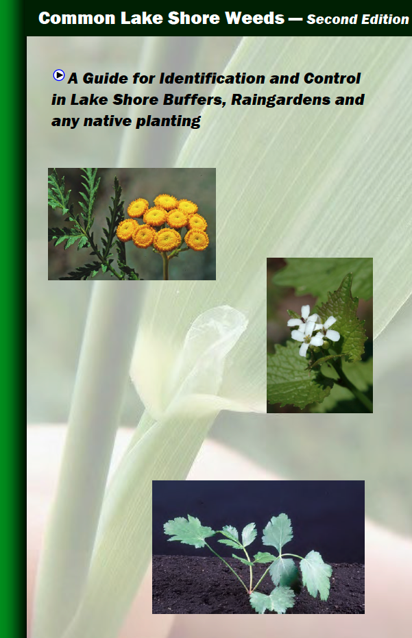"Common Lake Shore Weeds" cover with images of yellow flowers, white flowers, and green leaves.