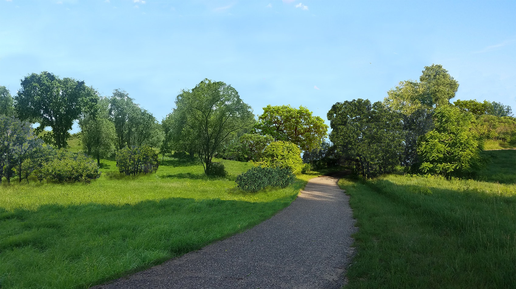 A serene park path with lush green trees and grass under a clear blue sky.