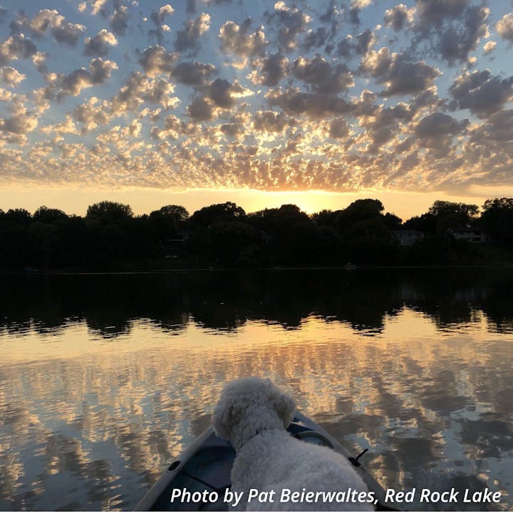 A dog on a boat at sunset on Red Rock Lake, with a sky full of scattered clouds reflecting in the water.