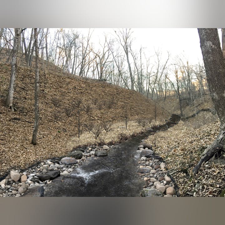 A stream with rocky banks flows through a leaf-strewn, wooded area with bare trees.