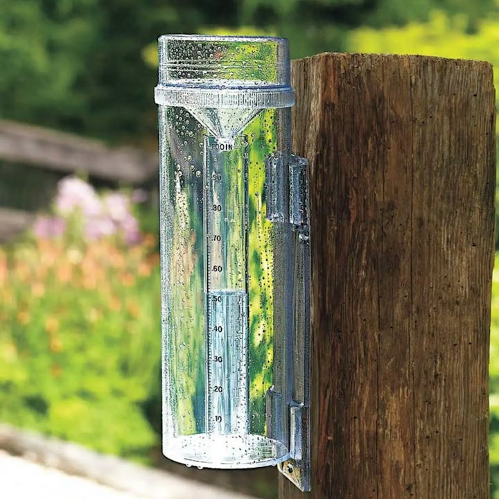 A rain gauge mounted on a wooden post, with water droplets and a blurred green background.