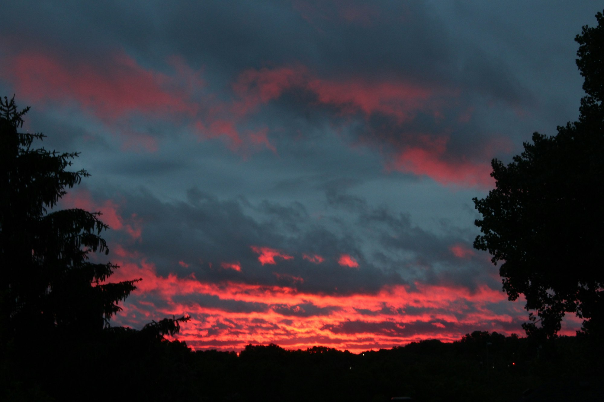 A vivid sunset with shades of red and blue across the sky, silhouettes of trees on the horizon.