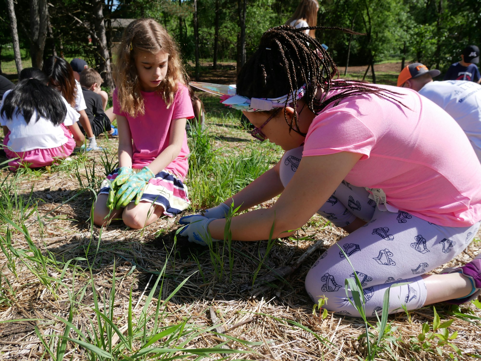 Children are engaged in an outdoor gardening activity on a sunny day.