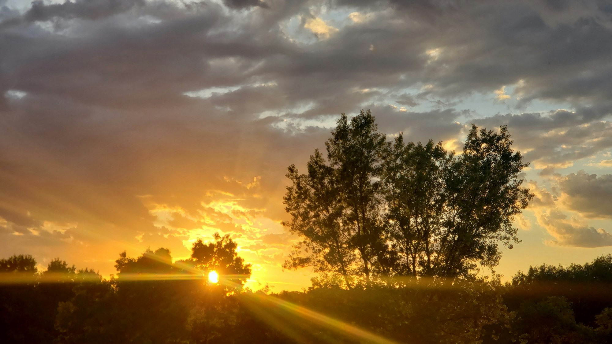 A sunset with vibrant orange hues behind silhouetted trees against a cloudy sky, casting sunbeams across the view.