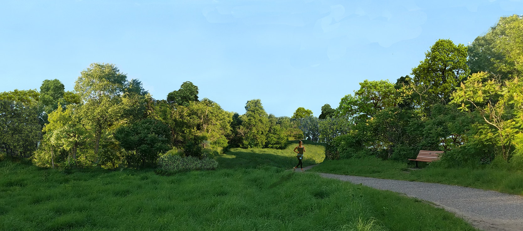 A sunny park with trees, grass, a path, and a person running.