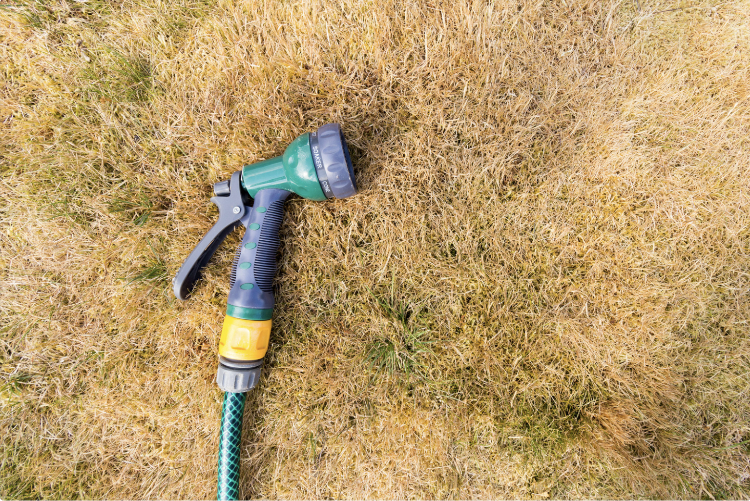 A garden hose nozzle on dry grass.