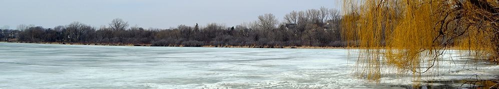 A panoramic view of a frozen lake with bare trees and a weeping willow on the right.