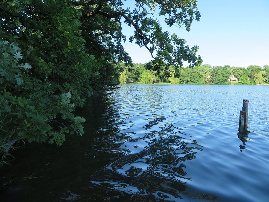 A tranquil lake scene with lush greenery, a wooden post in the water, and a clear blue sky.
